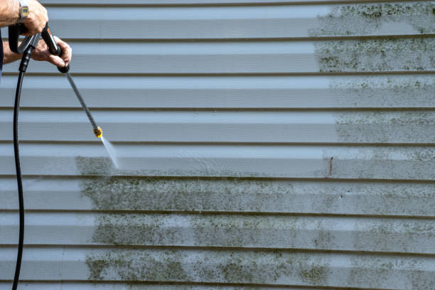 Best Siding Repair  in Lyford, TX